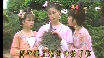 珍珠传奇在线观看,探寻海洋瑰宝的传奇故事  第2张